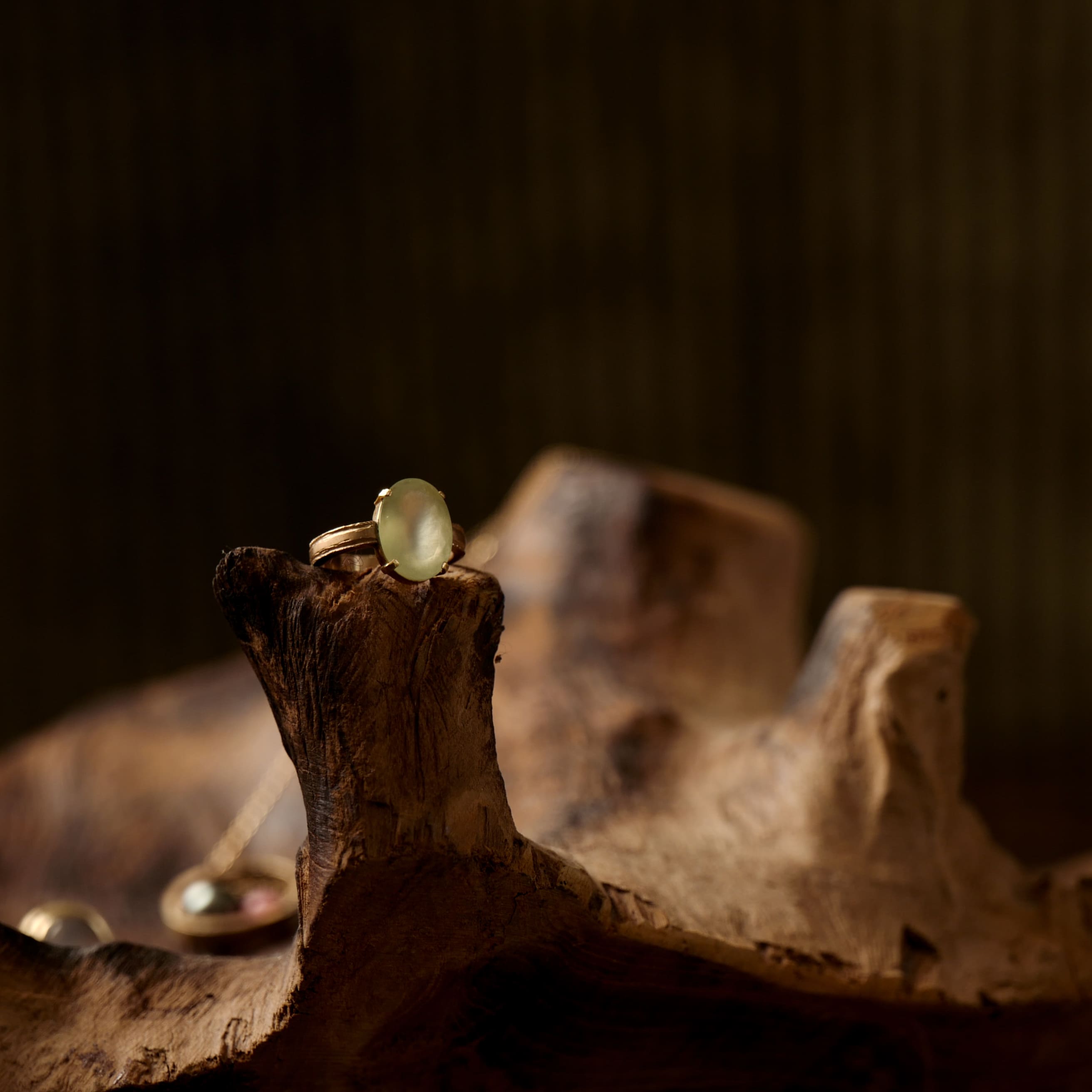 偶然との遭遇。